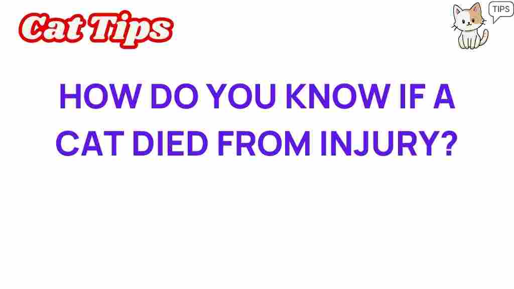 cat-death-injury-assessment