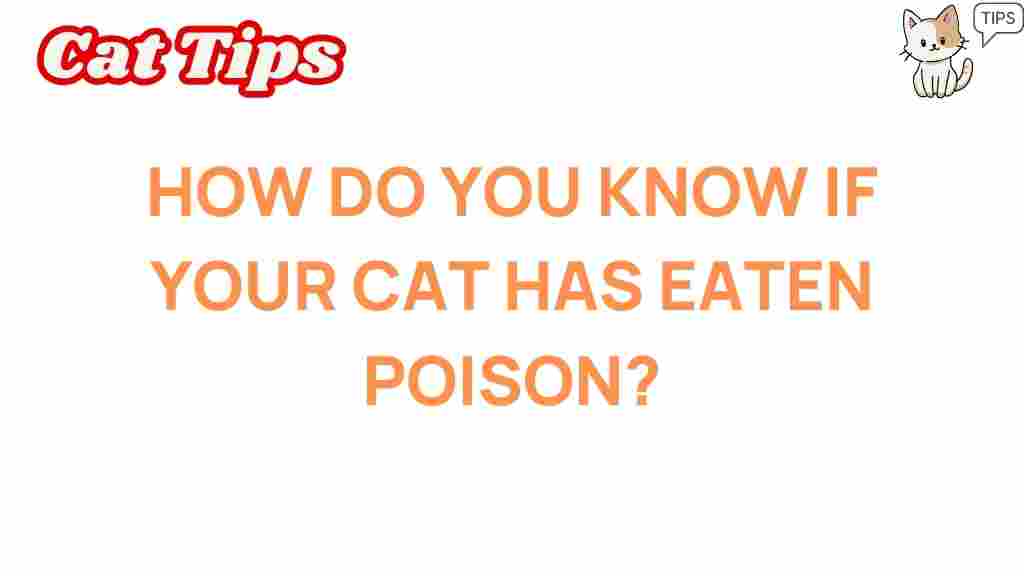 cat-health-poison-signs