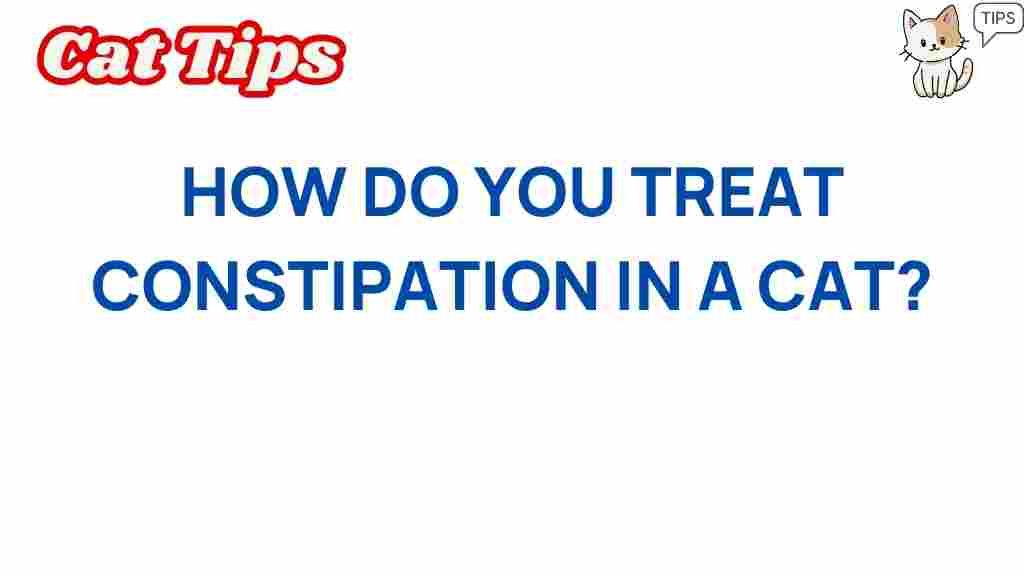 cat-constipation-relief
