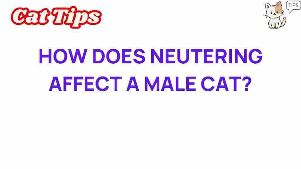 neutering-impact-male-cats