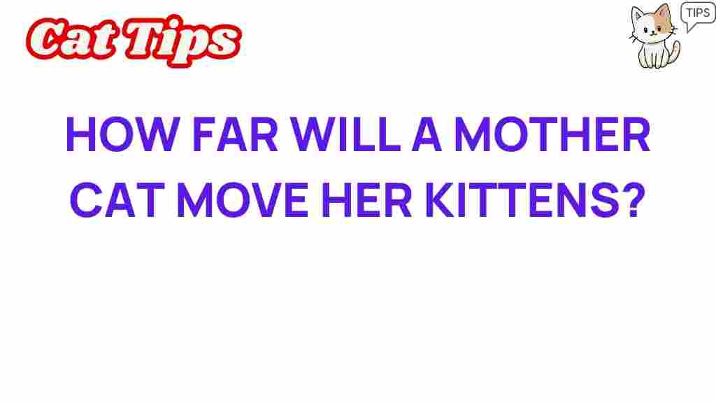 how-far-will-a-mother-cat-move-her-kittens