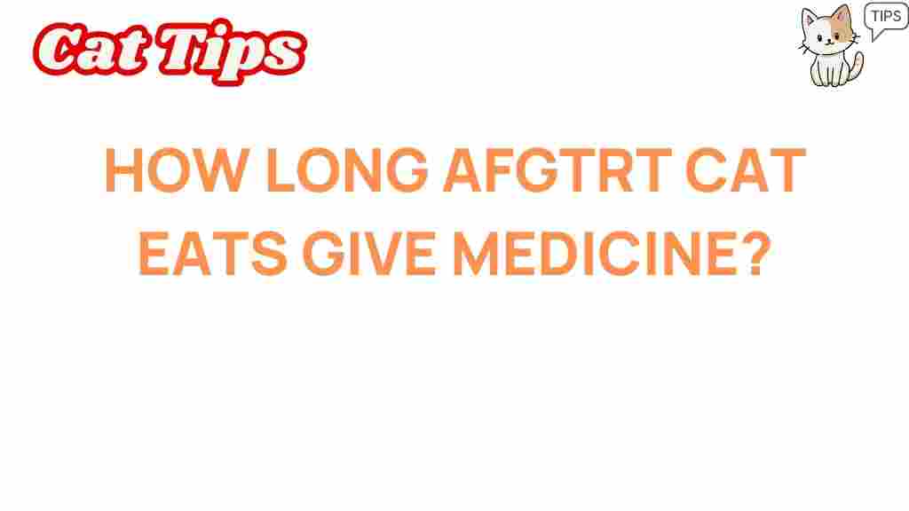 how-long-after-cat-eats-give-medicine