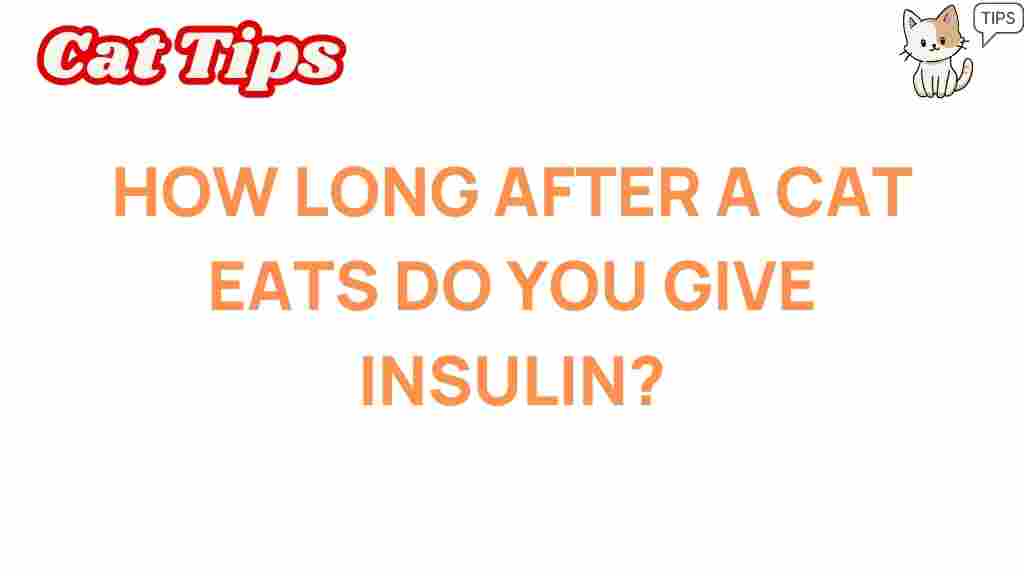cat-insulin-timing