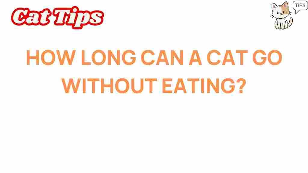cat-health-survival-without-food