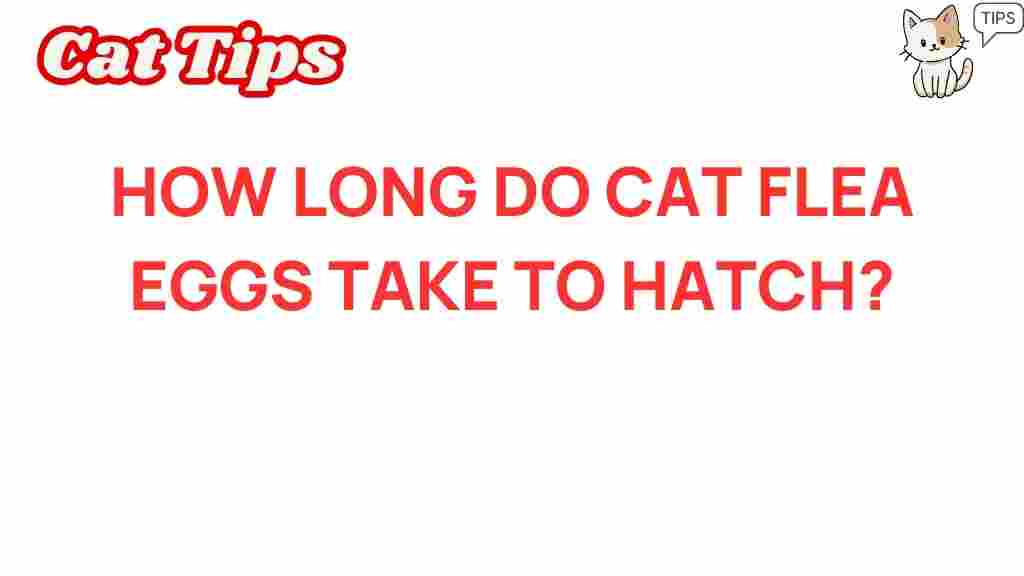 cat-flea-eggs-hatching-time