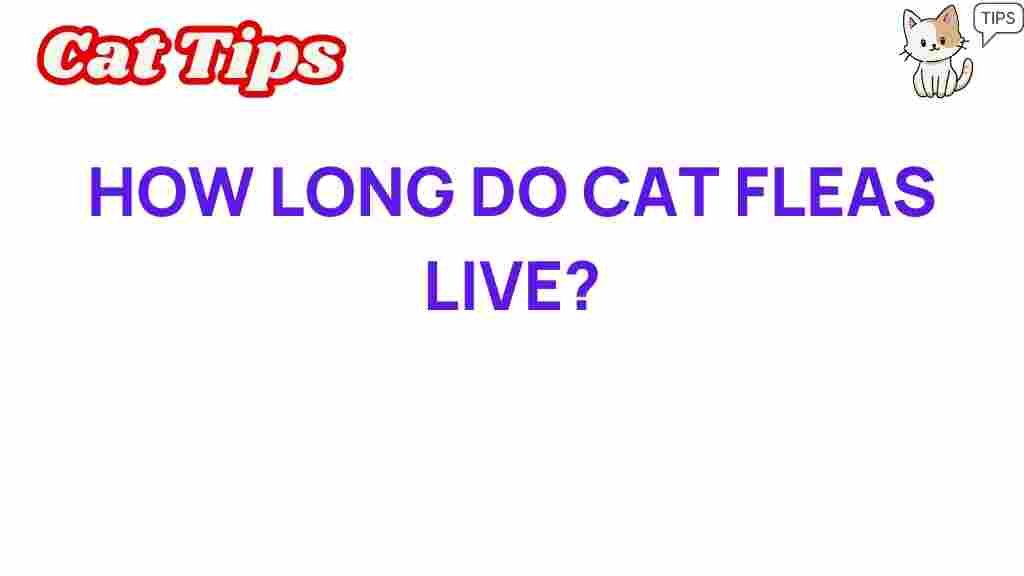 cat-fleas-lifespan