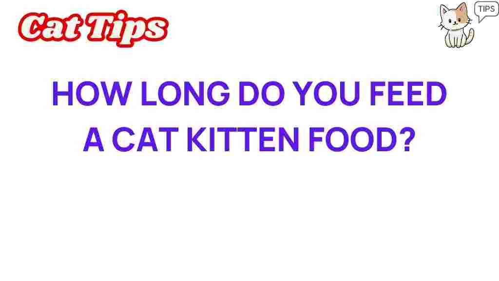 how-long-feed-cat-kitten-food