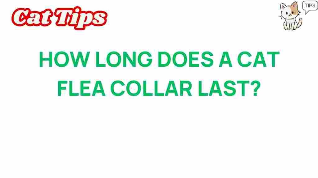 cat-flea-collar-lifespan