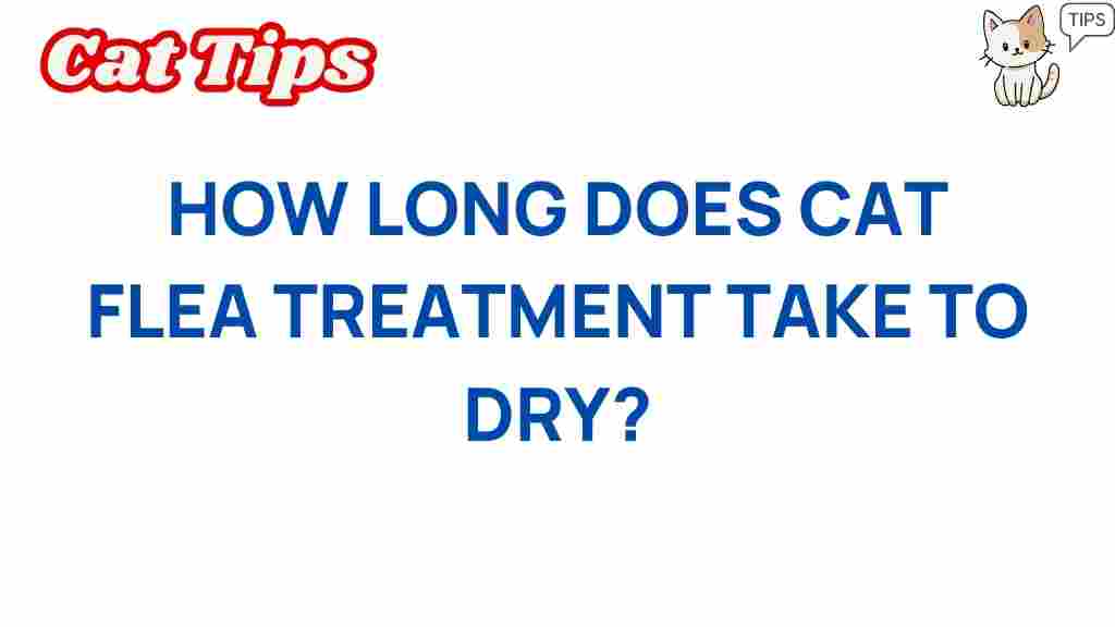 cat-flea-treatment-drying-time