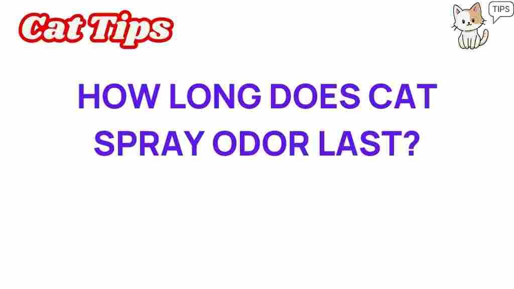 cat-spray-odor-duration