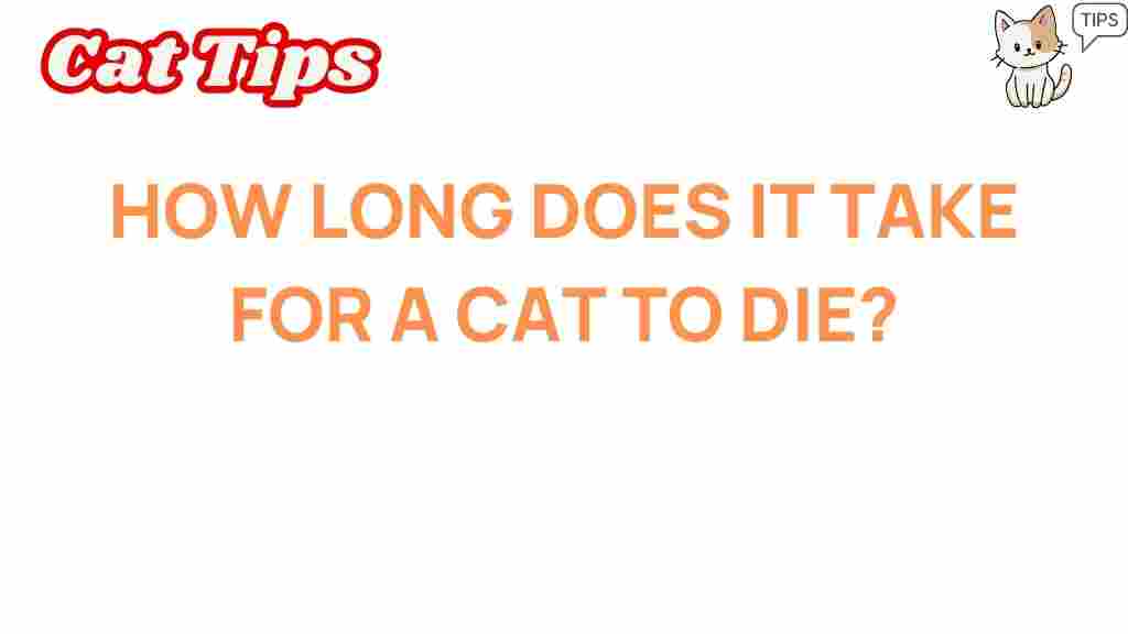 understanding-cat-death