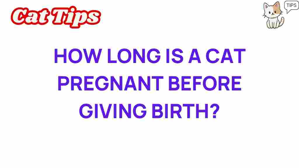 cat-pregnancy-durations