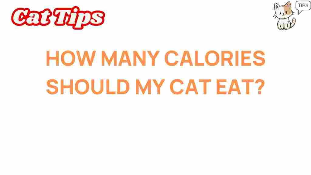 cat-calories-how-many