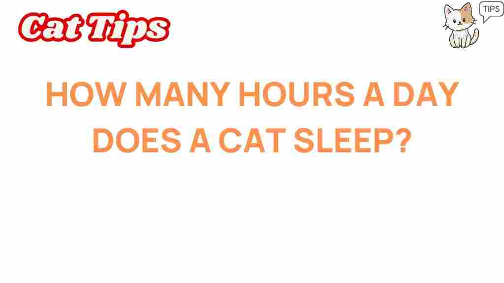 cat-sleep-hours