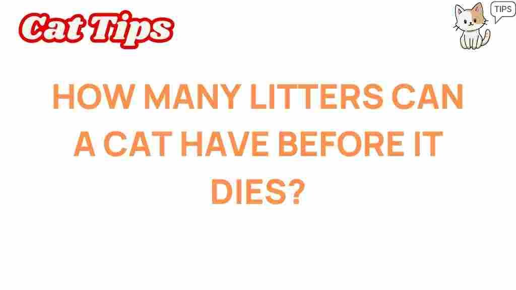 how-many-litters-cat-health