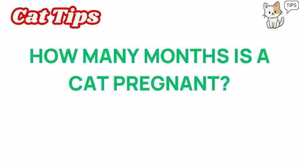 cat-pregnancy-duration