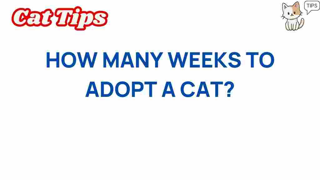 cat-adoption-countdown
