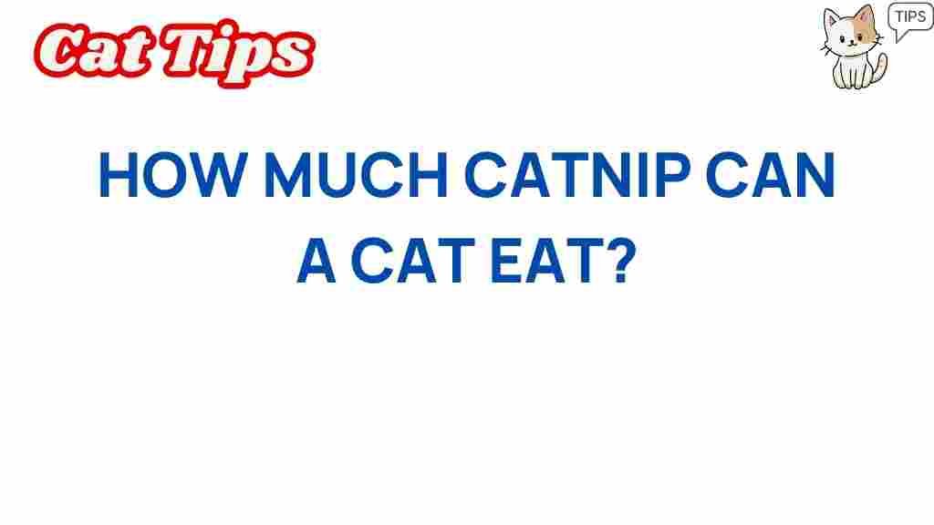 catnip-how-much-safe