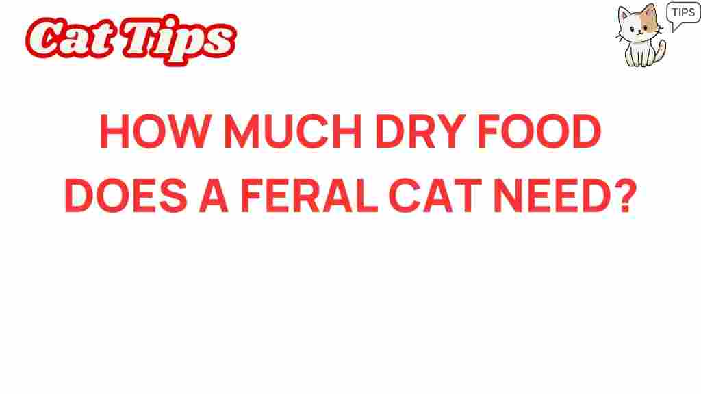 feral-cat-diet-dry-food-need