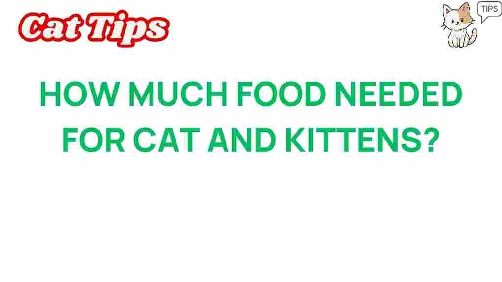 how-much-food-needed-for-cats-and-kittens