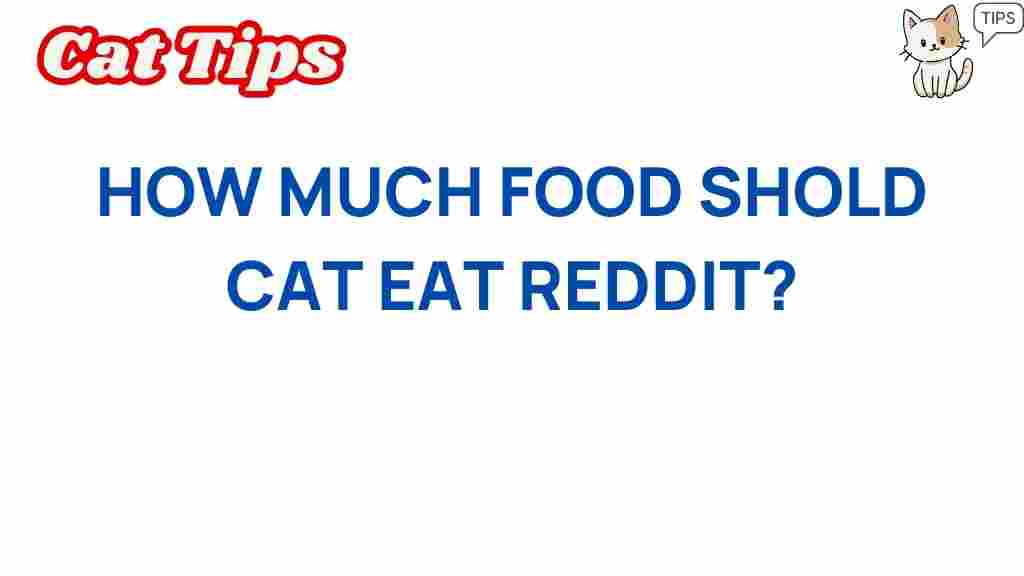 how-much-food-should-cat-eat