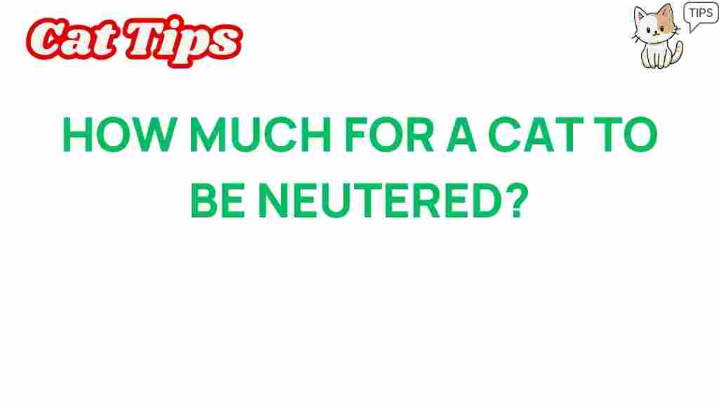 cat-neutering-cost