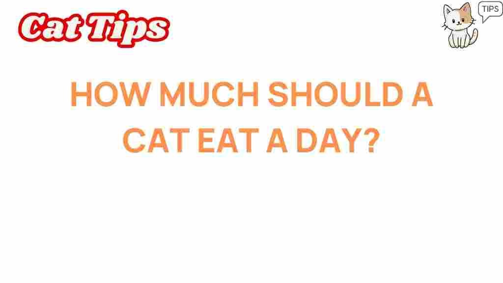 how-much-should-a-cat-eat-daily