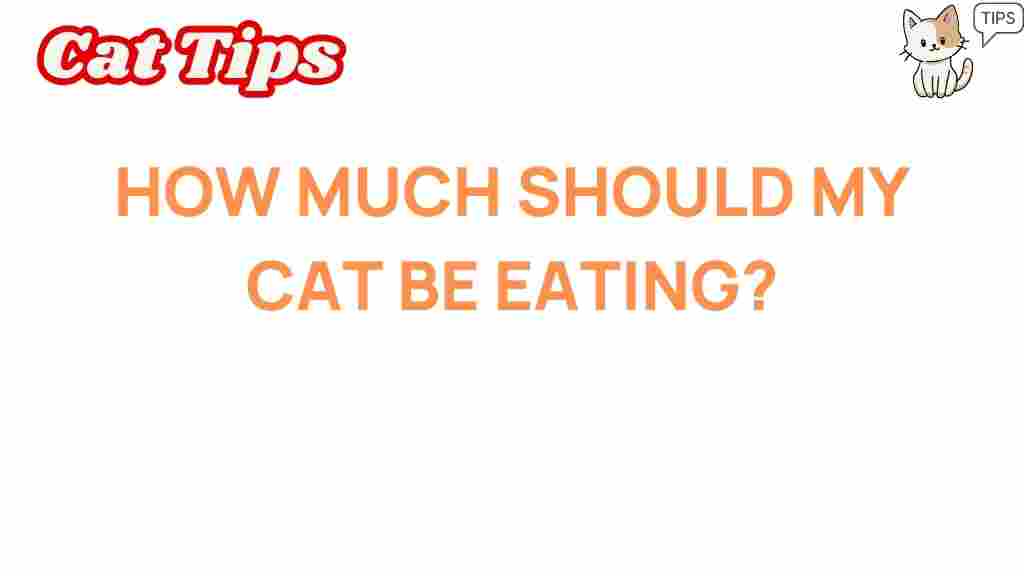 cat-nutrition-how-much-should-my-cat-eat