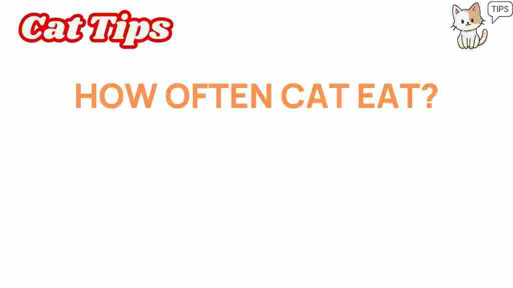 how-often-cat-eat