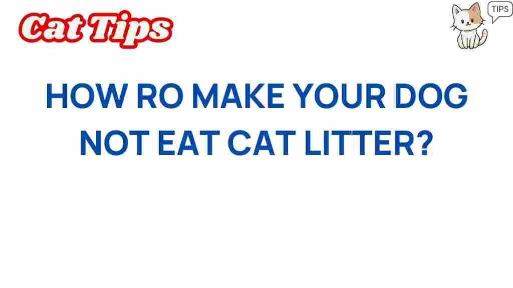 how-to-prevent-your-dog-from-eating-cat-litter