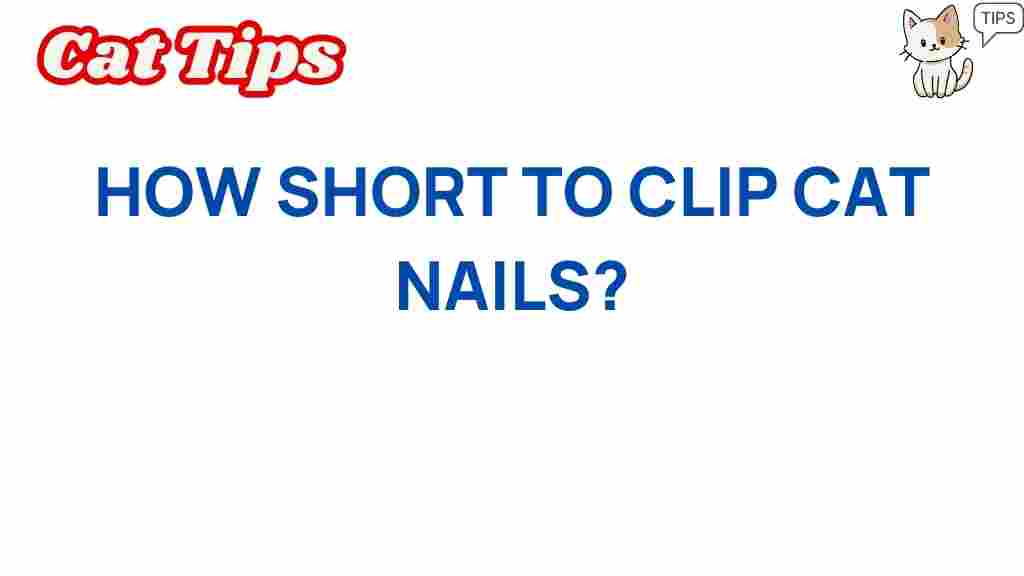 cat-nail-care-how-short-to-clip