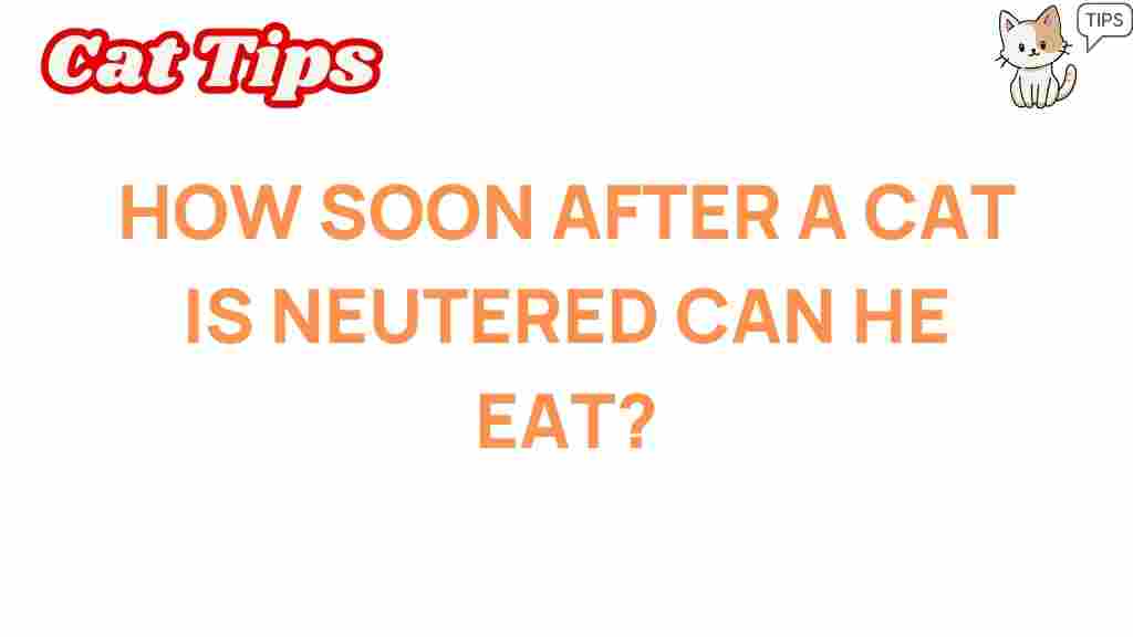 cat-neutering-feeding-schedule