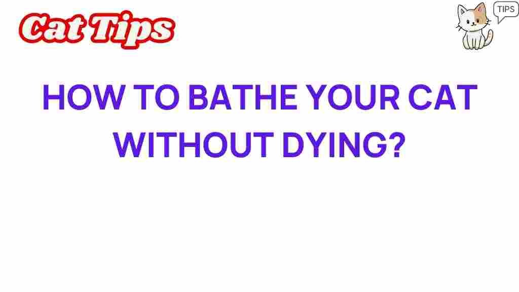 how-to-bathe-your-cat