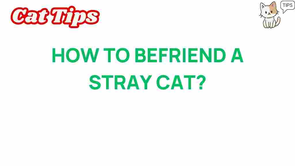 befriend-a-stray-cat
