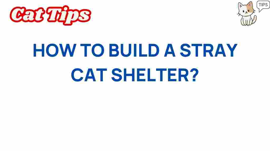 build-a-stray-cat-shelter