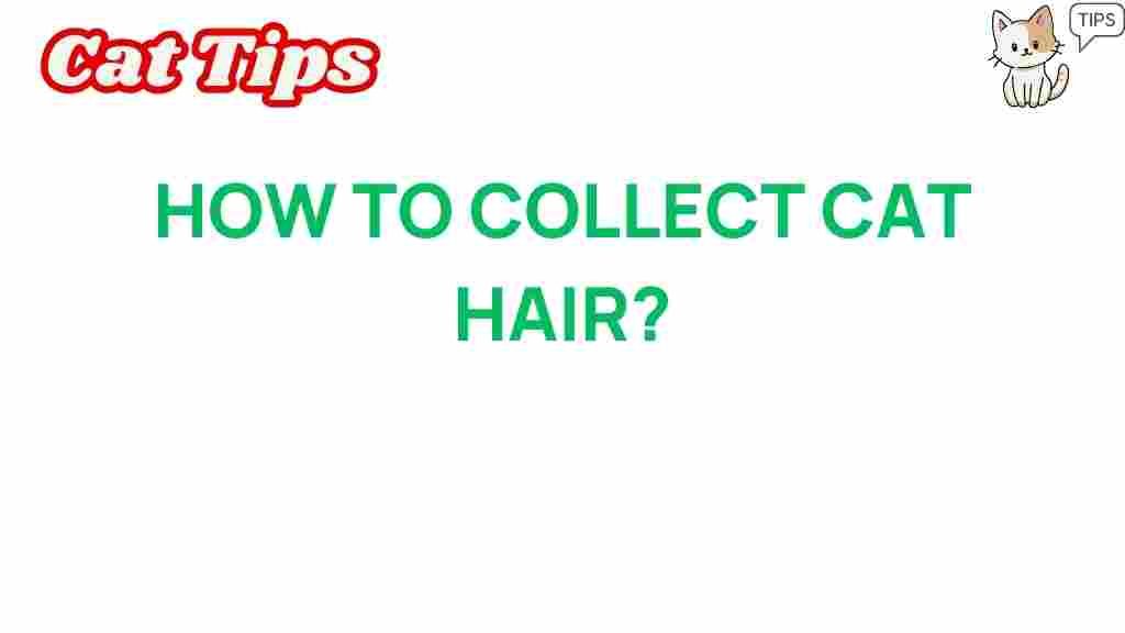 collect-cat-hair-efficiently