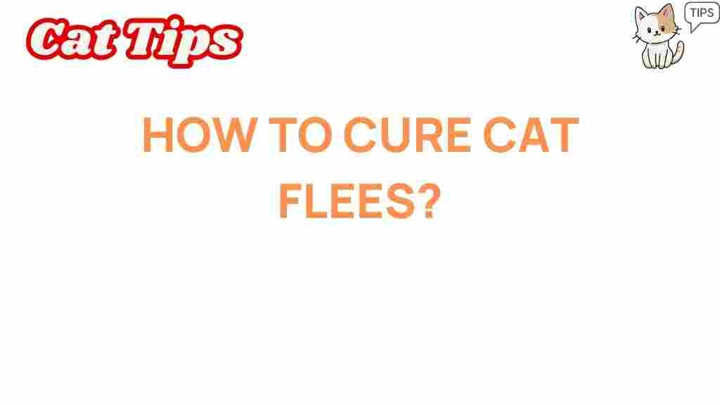 cure-cat-fleas