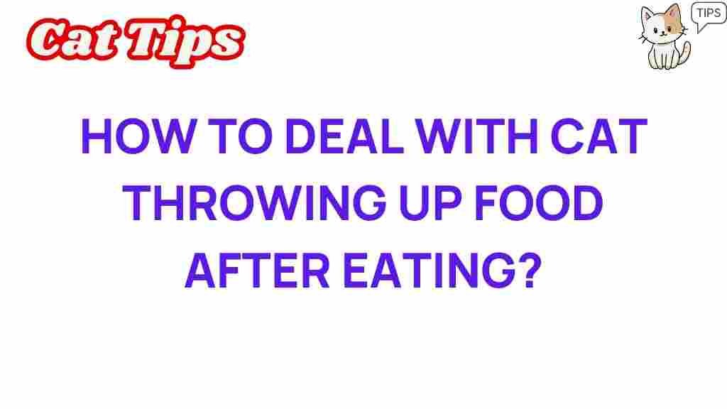 cat-throwing-up-food