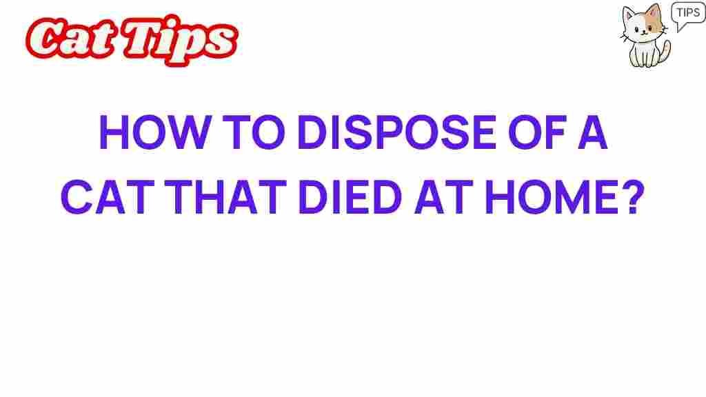 cat-loss-disposal-options