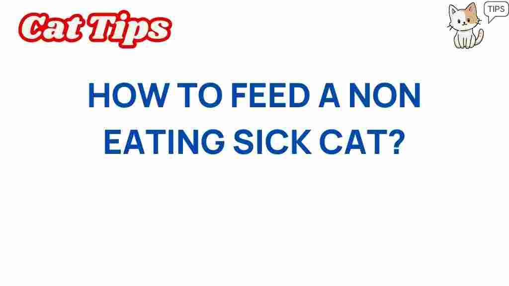 sick-cat-feeding-tips