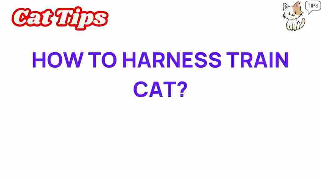 harness-training-cat