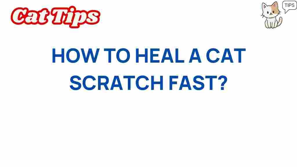 cat-scratch-healing-fast