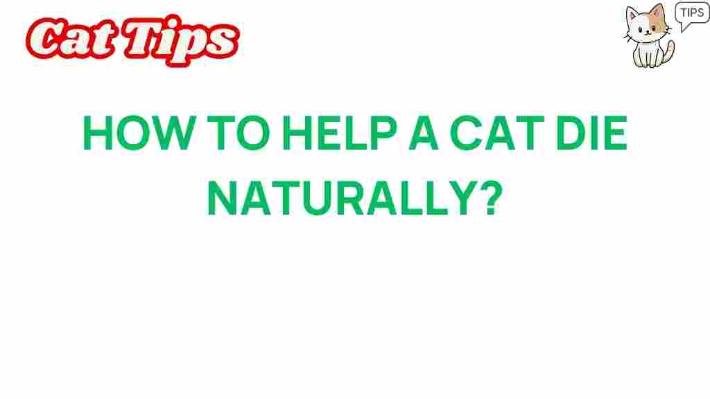 help-cat-die-naturally