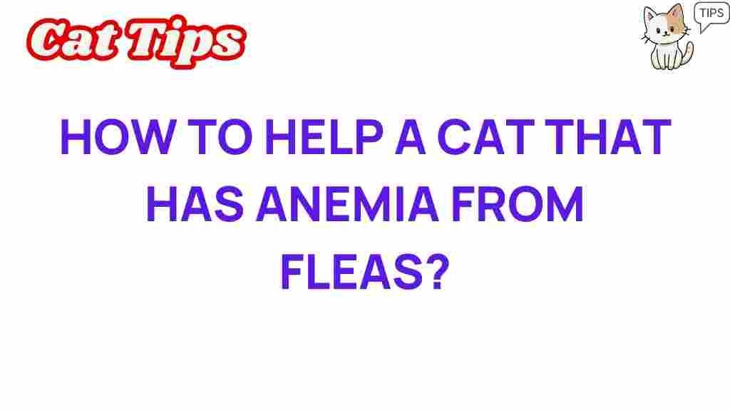 help-cat-anemia-fleas