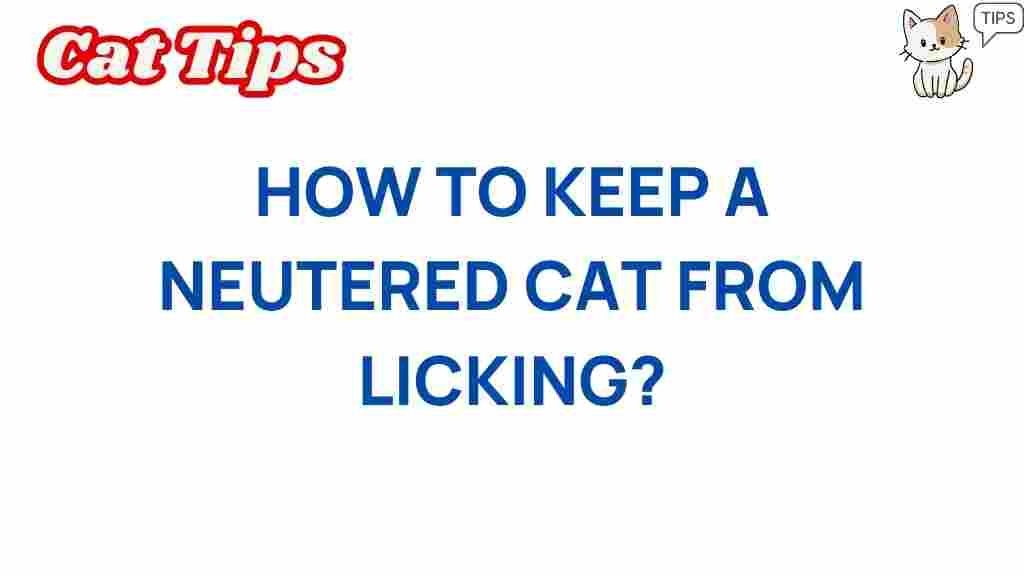 preventing-neutered-cat-licking