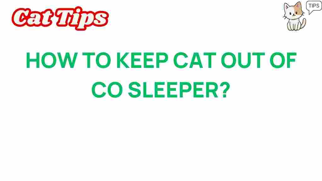 keep-cat-out-of-co-sleeper