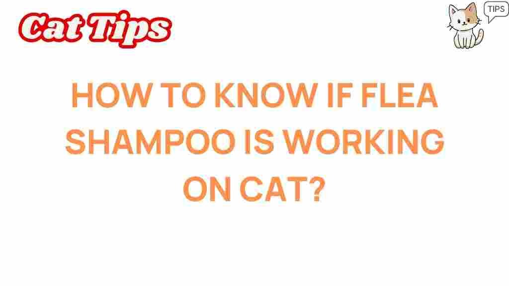 flea-shampoo-effectiveness-cat