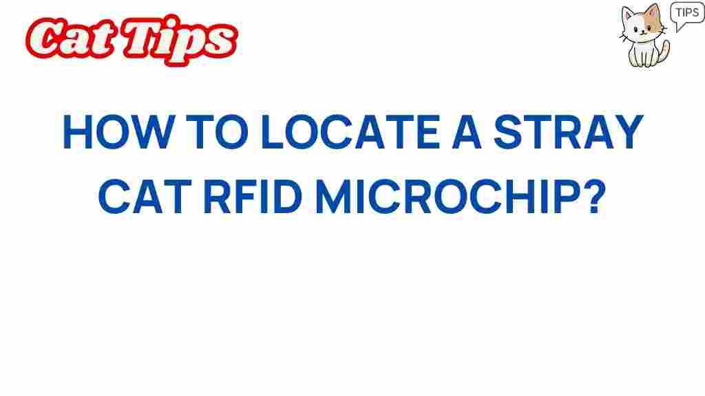 locate-stray-cat-rfid-microchip