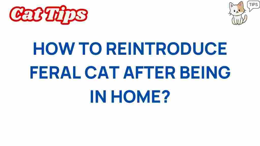 feral-cats-reintroduction-guide