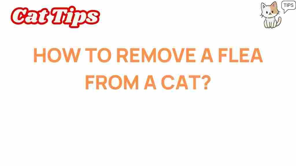 flea-removal-from-cat